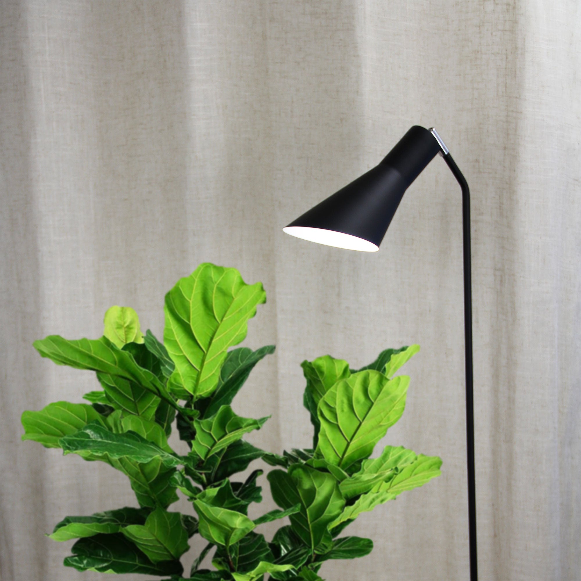 Thor Black Floor Lamp styled in a room