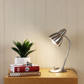 Trax Classic Gooseneck Desk Lamp styled in a room