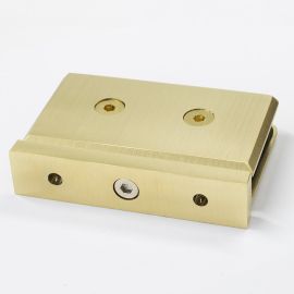 Forge Pivot Shower Hinge Nero Brushed Gold
