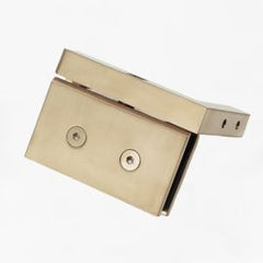 Pivot Shower Hinge Top Hinge Wall Mount Brushed Brass