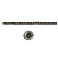 Lag screw, M12 Thread with 12mm Coach Screw, Hex Drive, SS304
