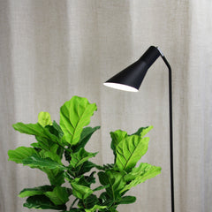 Thor Black Floor Lamp styled in a room