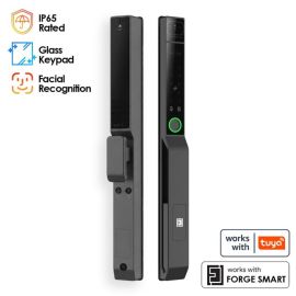 FORGE Biometric Aluminium Frame Door Push & Pull Smart Lock S3A | WiFi