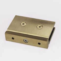 Forge Pivot Shower Hinge Brushed Brass