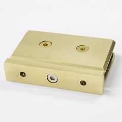 Forge Pivot Shower Hinge Nero Brushed Gold
