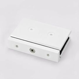 Forge Pivot Shower Hinge Matt White