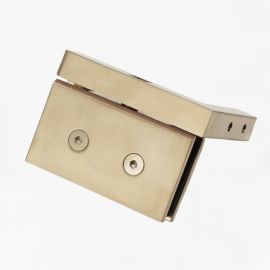 Pivot Shower Hinge Top Hinge Wall Mount Brushed Brass