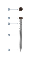 Starborn CAP-TOR and dual thread screws 100 PACK,